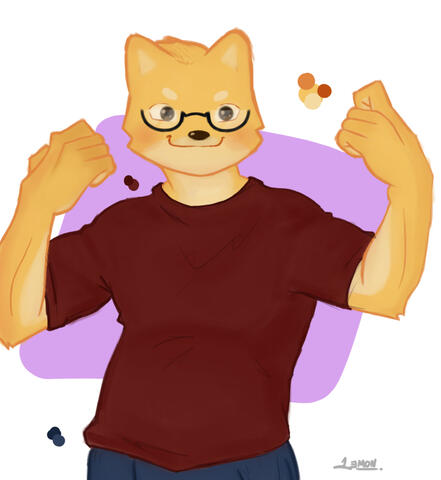 FURRO FURRO
